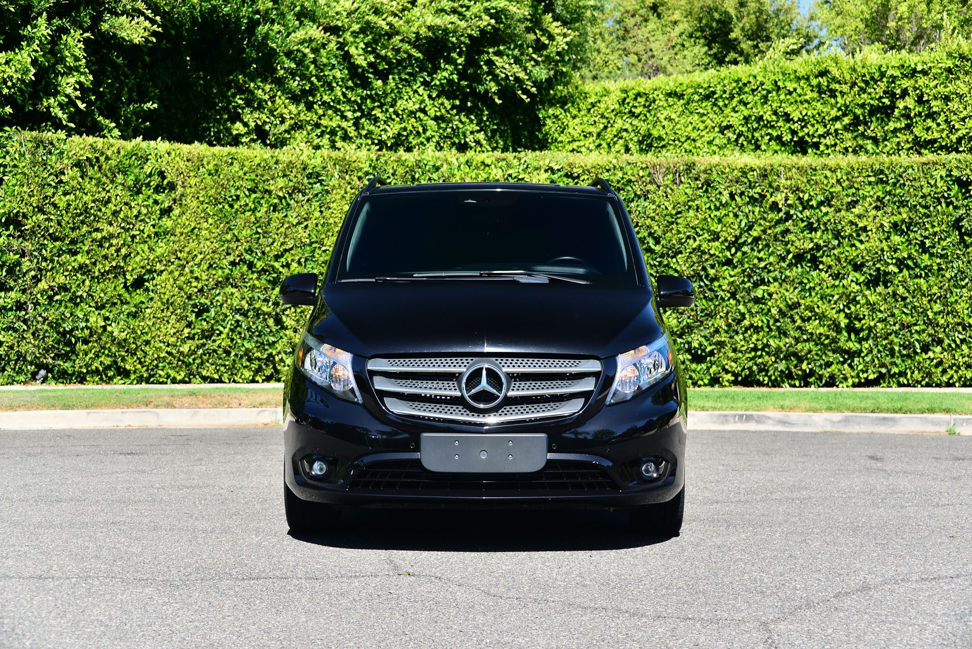 Mercedes-Benz Benz Metris Luxury Van